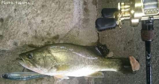 �֥�å��Х�