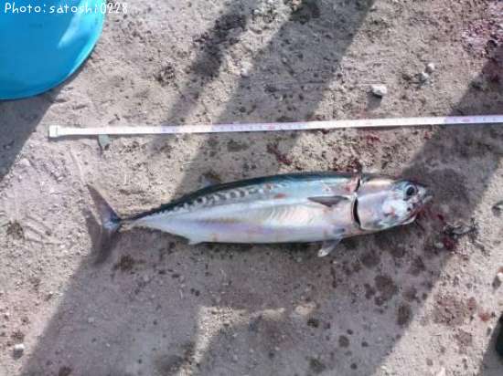 ���������ĥ�