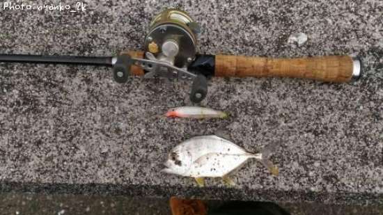 ��å�����