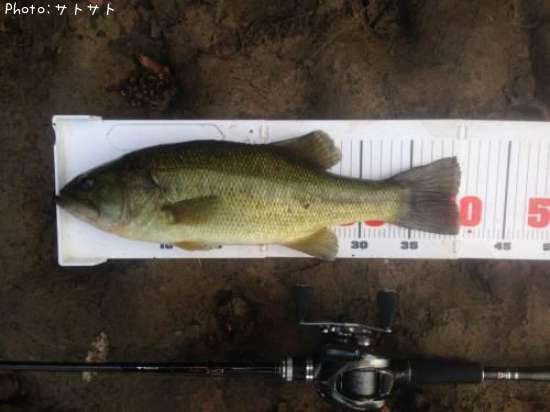 �֥�å��Х�