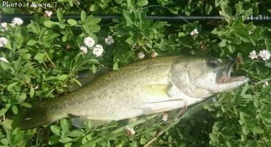 �֥�å��Х�