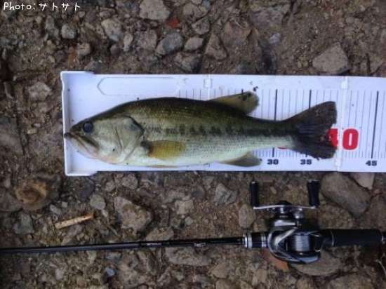 �֥�å��Х�