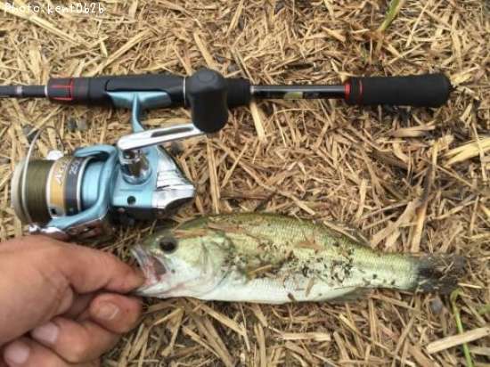 �֥�å��Х�