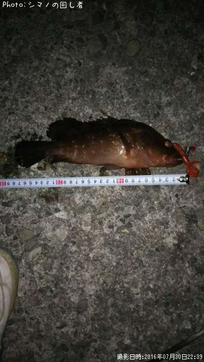 �����ϥ�