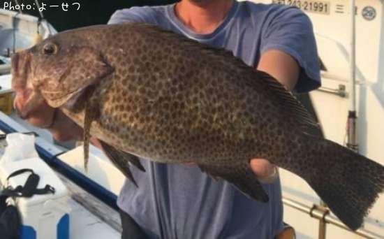 �������ϥ�