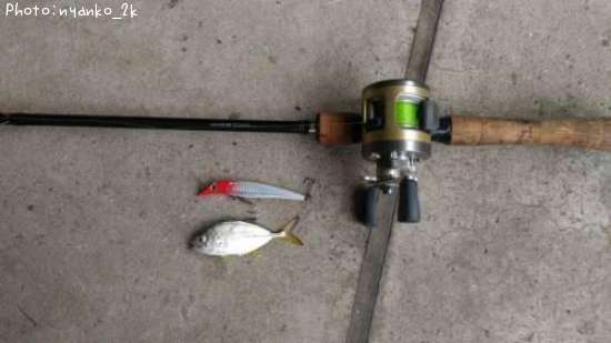 ��å�����