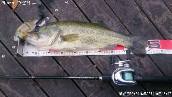 �֥�å��Х�