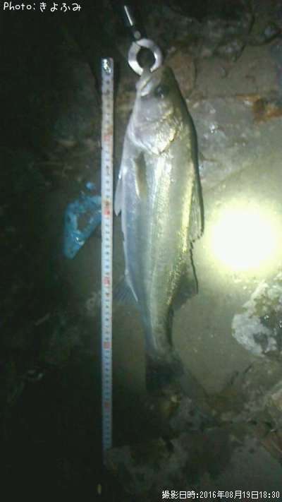 �����Х�