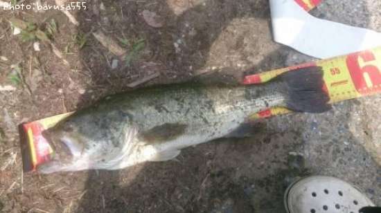 �֥�å��Х�