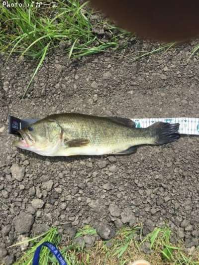 �֥�å��Х�