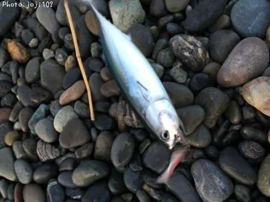 �ޥ륽����