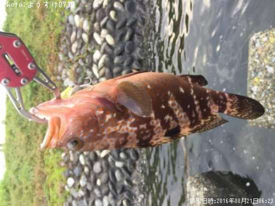 �����ϥ�