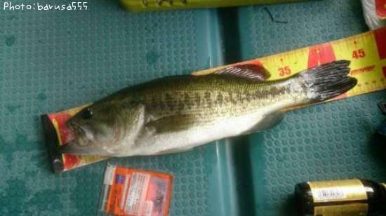 �֥�å��Х�