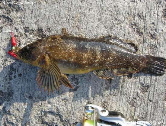 �����ʥ�