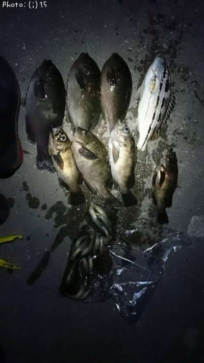 ���ޥ��������᥸�ʡ���Х�