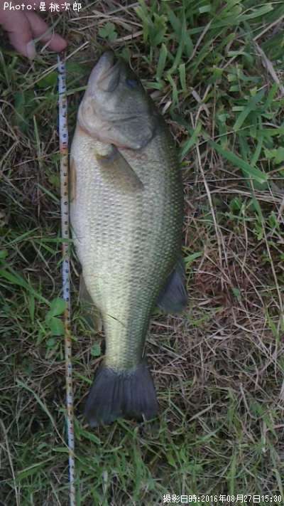 �֥�å��Х�