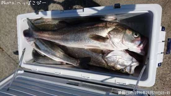 �����Х�