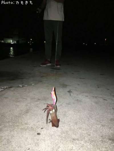 ���󥵥�����