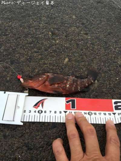 �����ϥ�