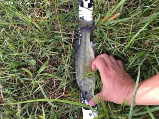 �֥�å��Х�