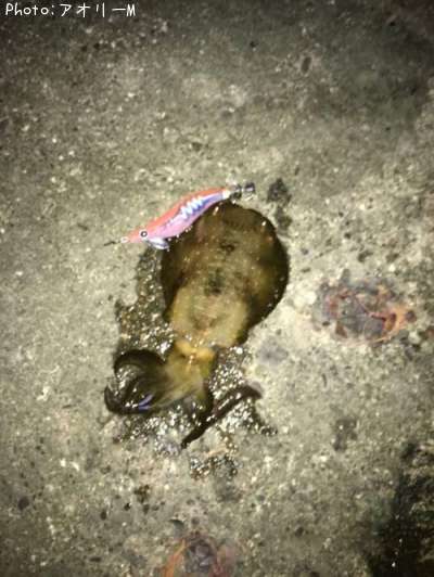 �����ꥤ��