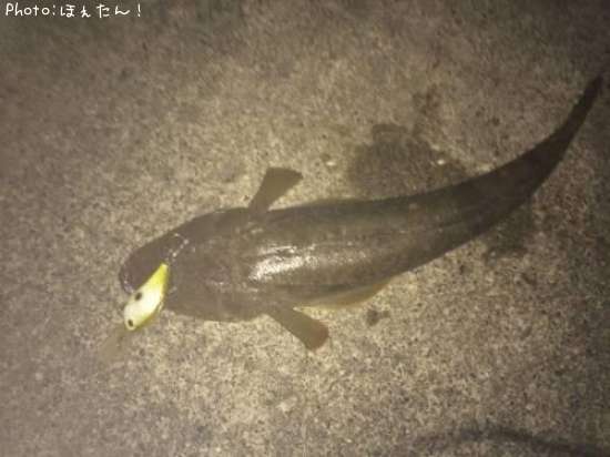 �ޥ���