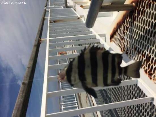 ���ޥ���