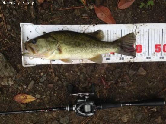 �֥�å��Х�