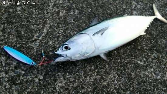 �ҥ饽����