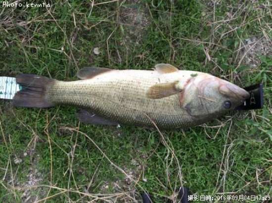 �֥�å��Х�