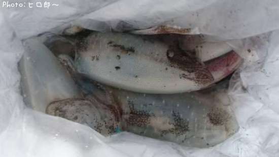 �����ꥤ��