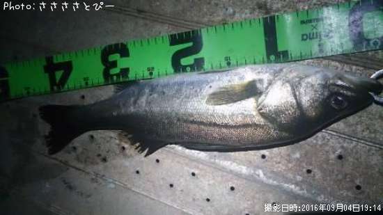 �����Х�����Х�