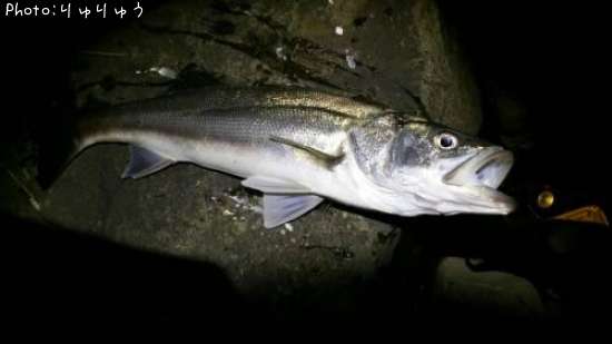 �����Х�