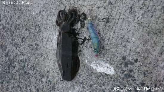 �����ꥤ��