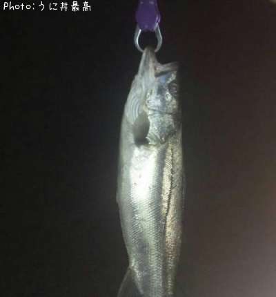 �����Х�