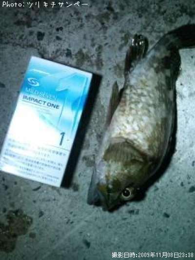 �����Υ���Х�