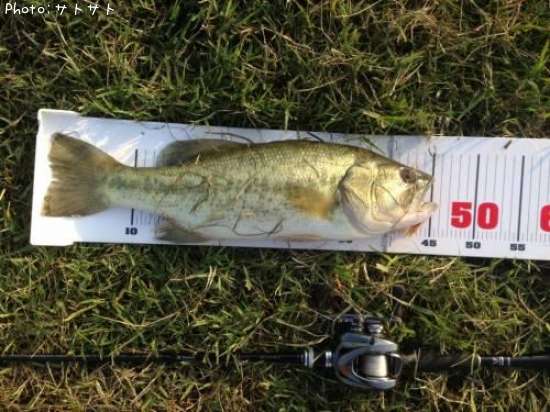 �֥�å��Х�