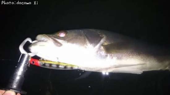 �����Х�