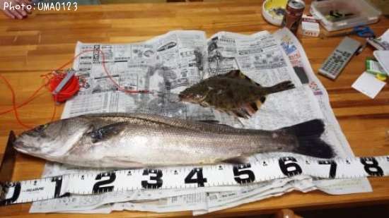 �����Х�