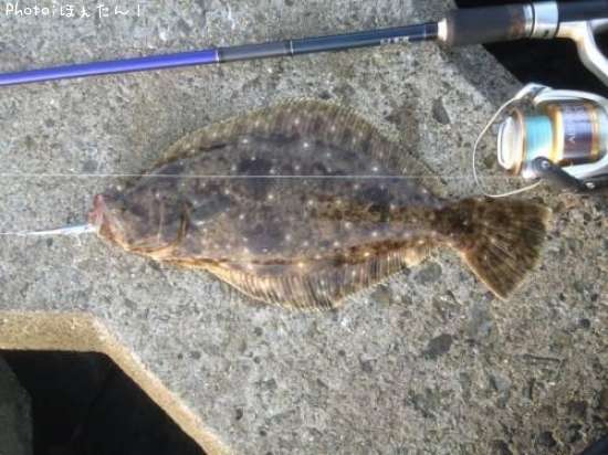 �ҥ���򥽥�