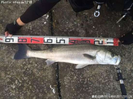 �����Х�