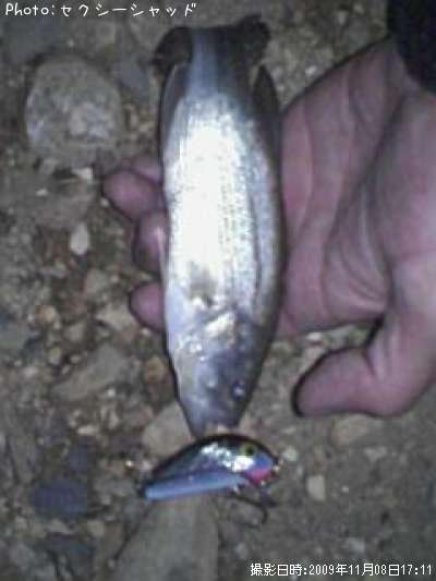 �֥�å��Х�