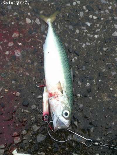 ���ޥ���