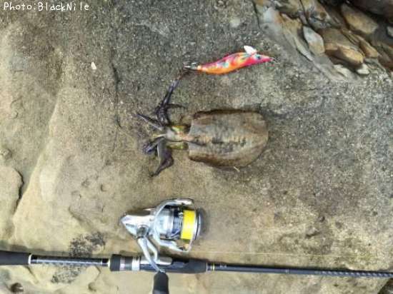 �����ꥤ��