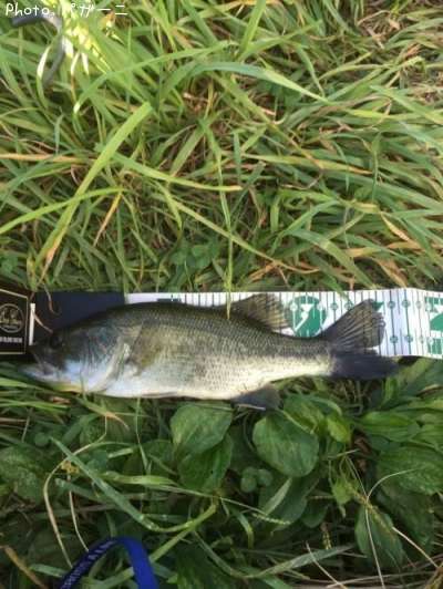 �֥�å��Х�