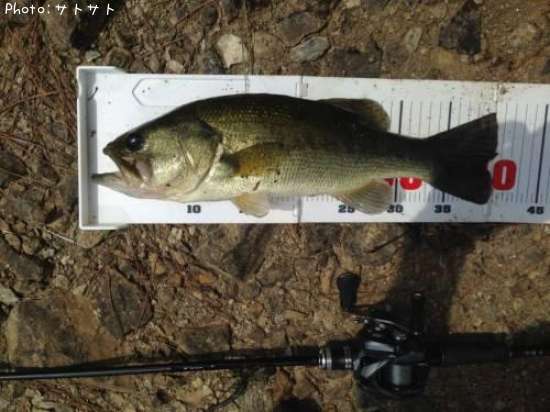 �֥�å��Х�