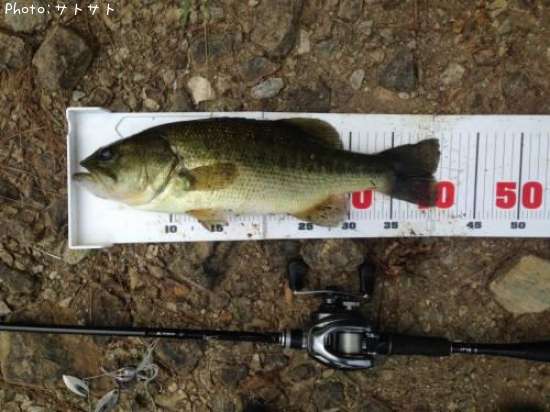 �֥�å��Х�