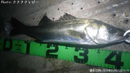 �����Х����᥸��