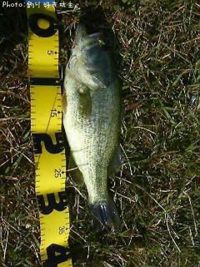 �֥�å��Х�