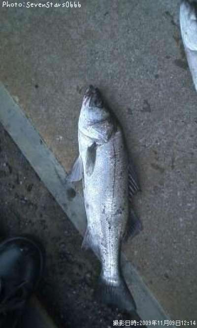 �����Х�